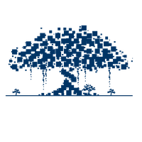 BBN_榕树网络_Banyan Network_BBN交易所