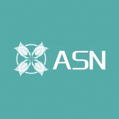 SASN_ASN Network_SASN交易所_SASN币