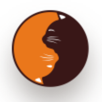 CAT_Catswap_CAT交易所_CAT币