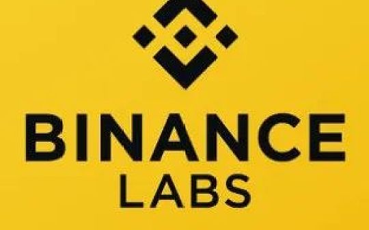来看看Binance Labs最近投了什么_CHA:HAI