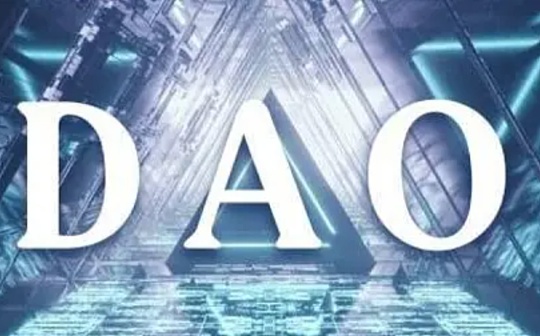 DAO 犯罪 是组织「背锅」还是成员「替罪」？_BAYC:sdao币公链