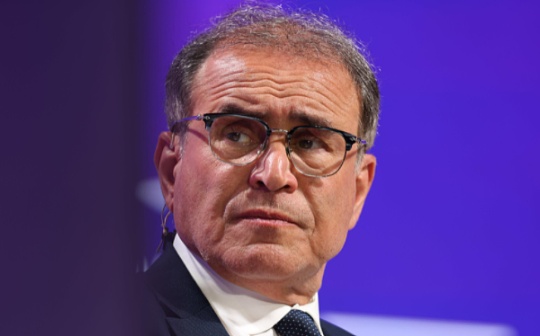 末日博士 Roubini 抨击赵长鹏为“一颗行走的定时炸弹”_WEB3:web3域名.tid