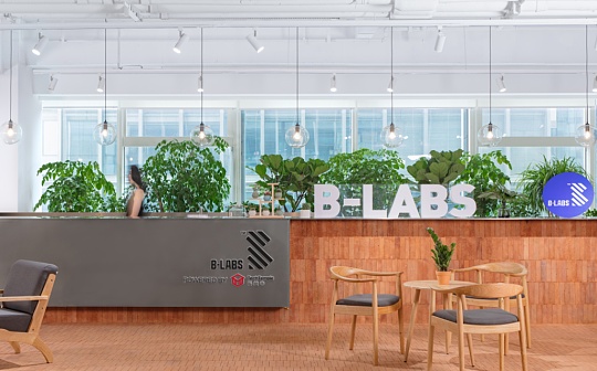 B-LABS丨实力与颜值并存 荣获“2019最佳区块链孵化器”的时尚INS风网红孵化器