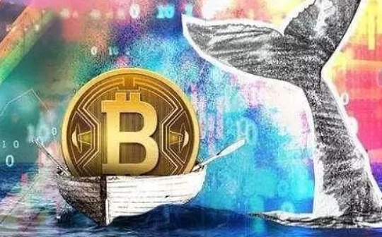 关键链上指标：散户确实在积累BTC 但巨鲸也在囤积筹码
