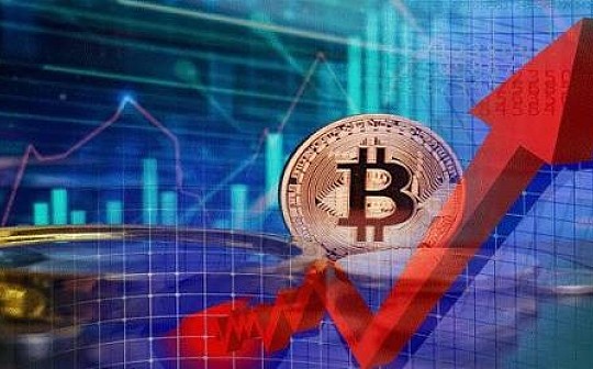 行情周刊丨本周主流减半币种行情动态汇总