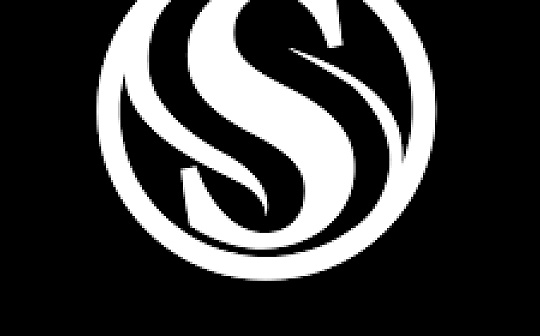 金色观察 | 2020年减半年 SERO抢跑