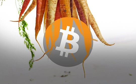 金色硬核 | 什么是Taproot？它将为比特币带来什么好处