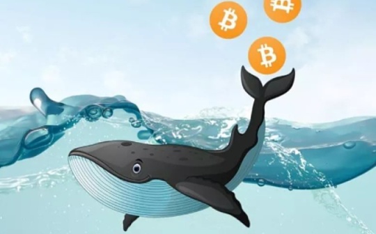 金色观察 | BTC减半后 加密市场“鲸鱼”持续上涨