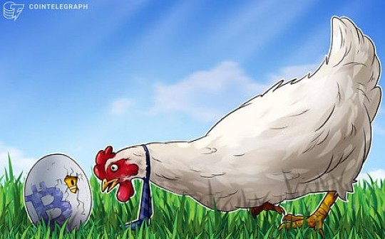 哪些关键指标的可信度更高？这些指标显示机构对加密货币兴趣高涨