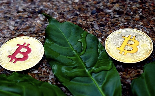 首发 | OKEx Research：比特币市值占比跌至年内低点 结构性牛市将至？