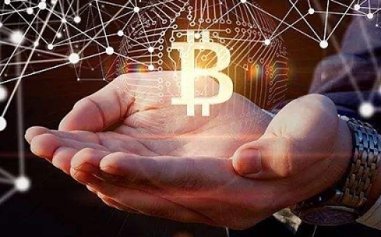 金色趋势丨BTC牛市这一黄金规律能否再次上演？