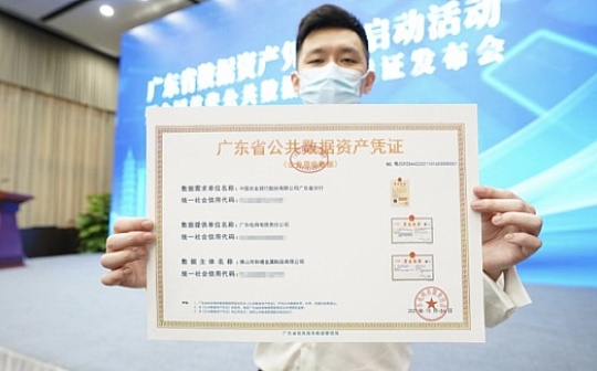 数据资产化跨步：全国首张公共数据资产凭证解密