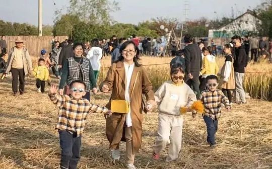 崇明稻田“元宇宙” 究竟是一场什么活动？