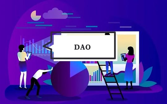 制衡机制与谨慎抉择下的DAO