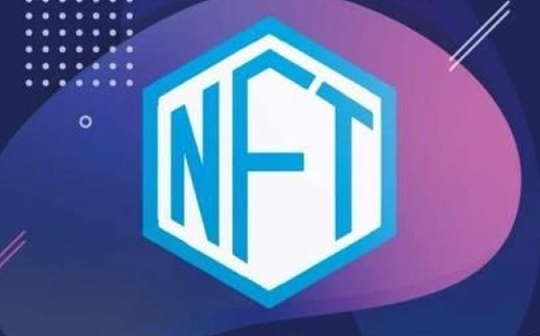 探秘NFT：除巨鲸外还有哪些类型的NFT持有者