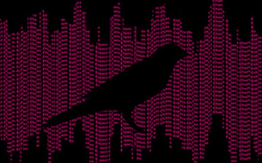 金色观察｜Kusama插槽拍卖开始 我们可以期待什么？