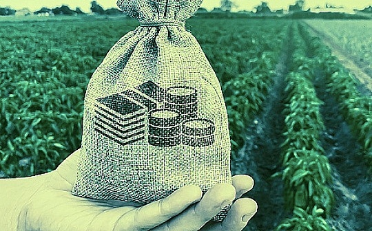 Paradigm 最新研究：一文读懂渐进式荷兰拍卖_PARA:nbs币官网
