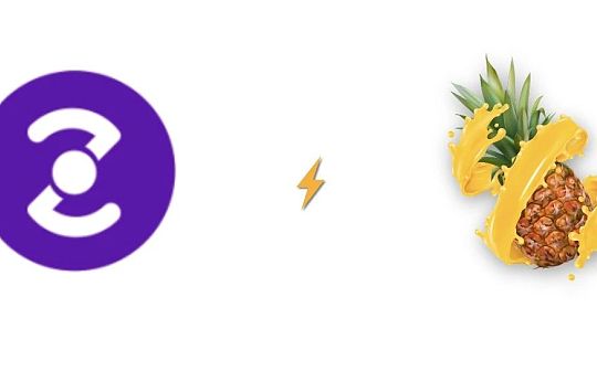 从ZKS和MEME看价值投资/投机的区别_TWO:苹果手机下载metamask