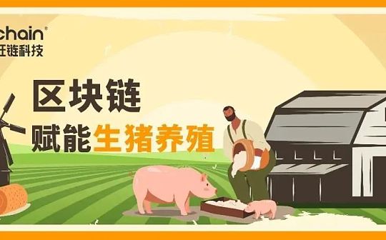 区块链赋能生猪养殖 让“猪”事有迹可循_区块链:dapp币交易