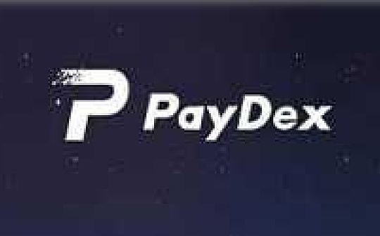 Paydex：区块链技术在医疗领域的落地同样值得期待_YDE:YDE价