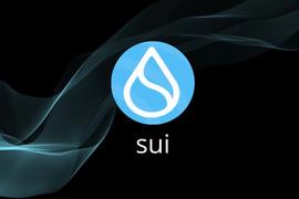 Sui Network主网初体验：真的如此顺滑吗？_WOR:SKALE Network