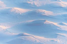 概览LSD赛道：长坡厚雪，稳定性与高增速贯穿整年_ETH:以太坊