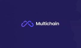 Multichain升级一周年，市占率近50%的跨链桥是如何打造的？_ULT:Pvault Finance