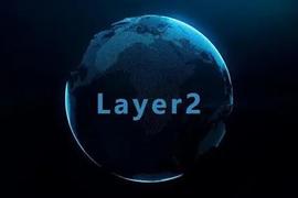 深度解读Layer2可扩展性：项目如何在ZK-Rollups和子网之间进行选择？_POLY:LANC
