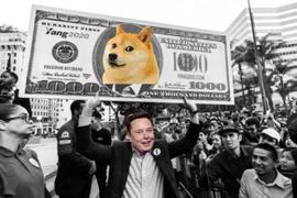 揭秘Robinhood发展史：激情散户奇迹_比特币:FOF
