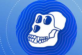 关于ApeCoin，BAYC持有者应注意这五点_COI:ECOIN