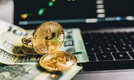 Nansen：链上数据分析告诉你投资基金都在囤什么币？_COI:StarterCoin