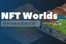 详解NFT Worlds：寄生于Minecraft，开创元宇宙新模式_WORLD:Firdaos