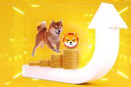 一文了解 Shiba Inu 价格和交易量飙升的三大原因_SHI:COI