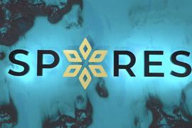 Spores Network总策展人Jeffrey：元宇宙的创建是当代生活形态的改变_SPORE:SPORE价格