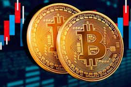 Square和推特都将成为采用比特币的实验田，当比特币嵌入时，谁会普及谁呢？_SQUA:NFT