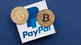 PayPal的加密野望：新建区块链部门、移动端应用Venmo与收购步伐_PAY:比特币