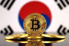 想了解韩国币圈及生态？看这一篇文章就够了_UMB:区块链工程专业学什么课程
