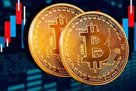 长期持有者并未卖出任何BTC？_加密货币:CRYPTO