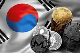 最新提案使韩国交易所「压力山大」_AMA:NFT