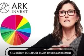 7亿美元逆势建仓比特币、COIN股票，如何解读ARK基金的加密投资动作？_INB:ethnographyinbusiness答案
