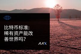 比特币标准：稀有资产能改善世界吗？_比特币:区块链