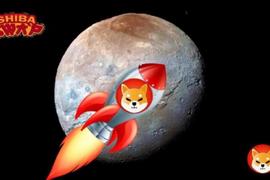直线飙涨，SHIB缘何成为币圈的流量明星 | 烤仔创作者联盟_SHIB:VIVI