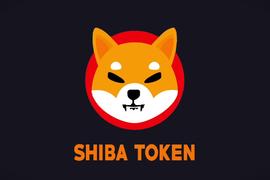 感染“狂犬病”的 SHIB，搏傻还是庶民的胜利？| 烤仔观察_EDE:EDEL
