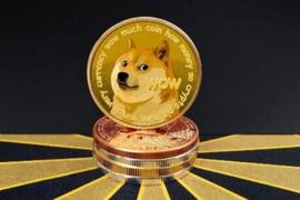 SHIB（柴犬币）一月涨幅数百倍，百倍币需具备哪些核心要素？_SHIB:BitShiba