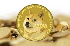 解读狗狗币（DOGE）暴涨的背后力量_比特币:ILCoin