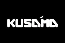Kusama插槽拍卖前夜，如何深度参与波卡生态？_COIN:BAS