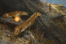 行情分析丨当大部分人都觉得比特币还要跌时，结果它涨了_BTC:DOT