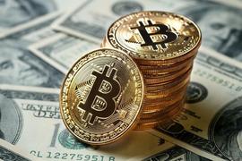 帮小白跟投基金策略，去中心化平台「库克协议」怎么玩？_OPTI:Optimism Doge