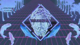 NFT巨鲸玩家WhaleShark科普：影响力人士的NFT使用指南_TOC:ALA