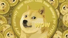 doge前十“一日游”，来谈谈下一个暴涨的币。。_比特币:DEF
